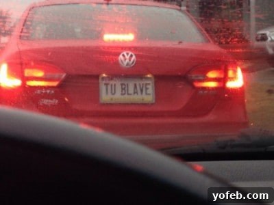 Funny Princess Bride themed license plate