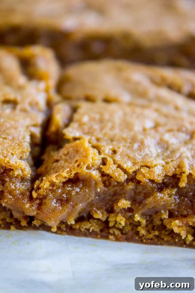 Decadent Pumpkin Caramel Swirl Bars 8 Fudgy Pumpkin Caramel Swirl Bars - slices on a plate with warm caramel