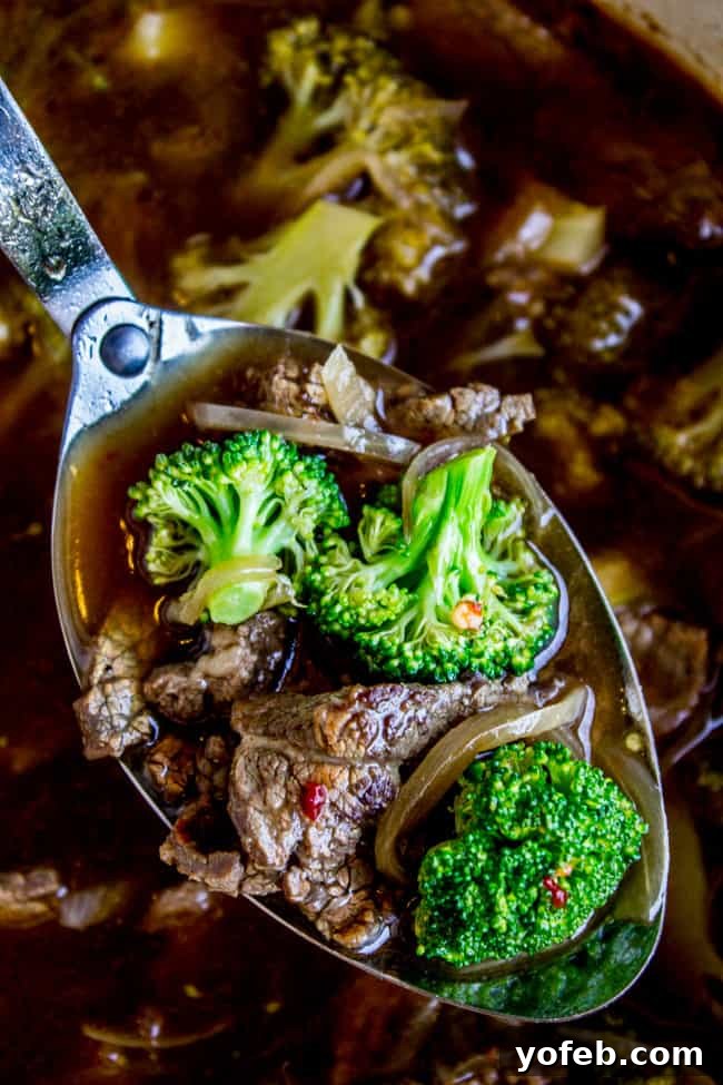 Umami Chinese Beef Broccoli Soup 2 A metal spoon lifting tender beef and crisp broccoli from a bowl of Chinese Beef and Broccoli Soup, highlighting the rich broth.