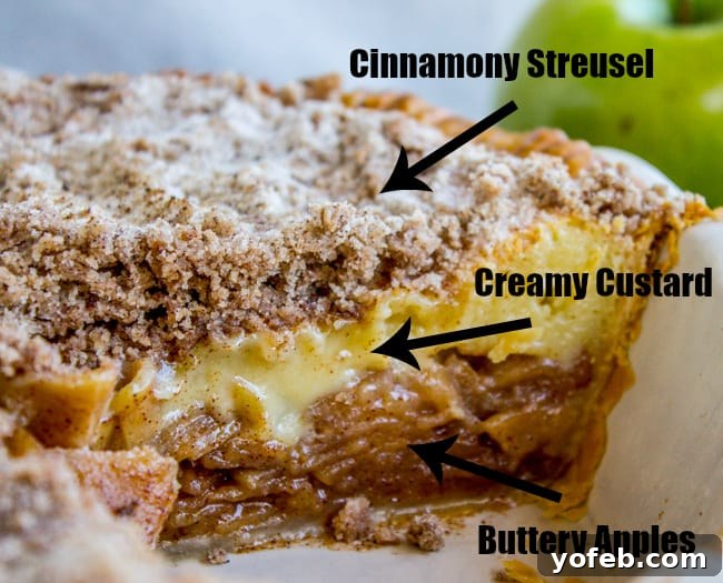 Spiced Apple Custard Pie with Cinnamon Streusel 12 Apple Custard Pie with Cinnamon Streusel on a white background