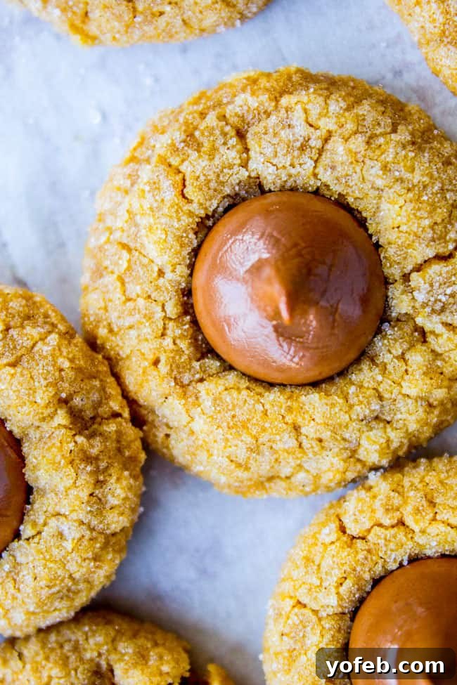 Pumpkin Peanut Butter Blooms 4 Overhead shot of a table laden with delightful treats and a bowl full of chocolate kisses at a baby shower for food bloggers