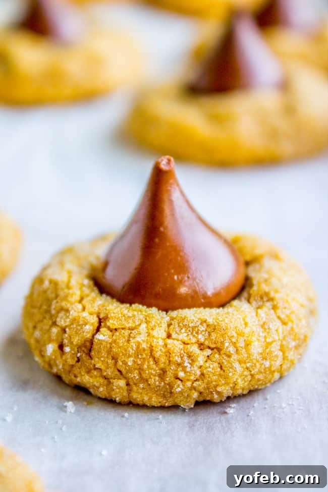 Pumpkin Peanut Butter Blooms 7 A tray of freshly baked Peanut Butter Pumpkin Blossoms, some with chocolate kisses pressed into them, cooling on a rack