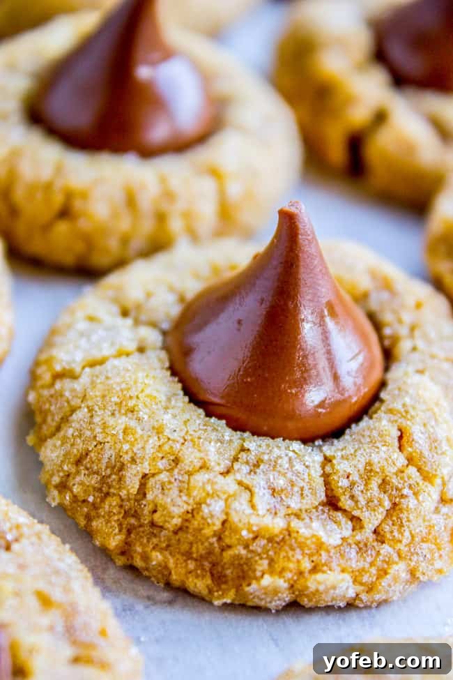 Peanut Butter Pumpkin Blossoms from The Food Charlatan