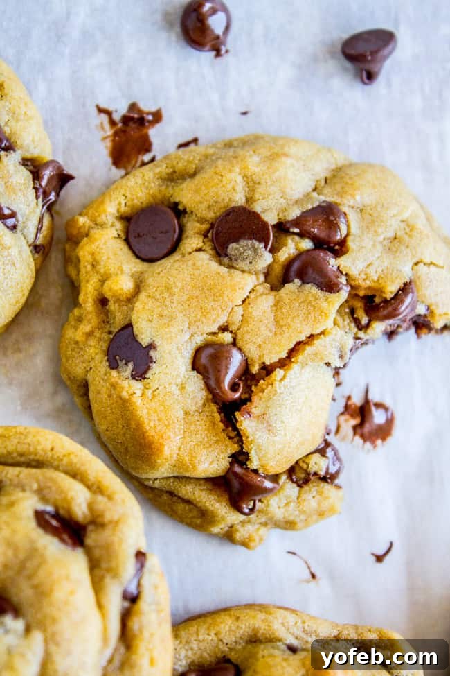 Brown Butter Chocolate Chip Cookies from The Food Charlatan
