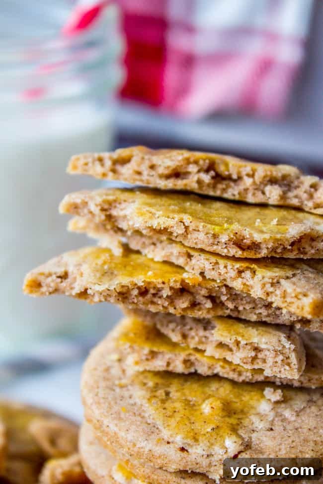 Swedish Cardamom Crisp Cookies 9 A close-up of a single Crispy Swedish Cardamom Cookie, emphasizing its delicate, golden texture.