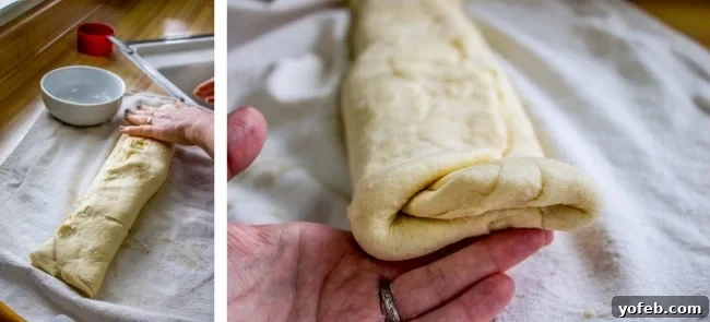 Swedish Layered Sour Cream Twists 11 dough in a nice, tight log after folding, showing the layered preparation.