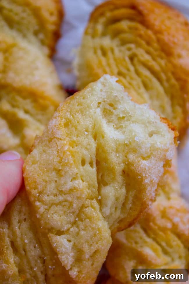 Swedish Layered Sour Cream Twists 16 Showing the sugar and flakey layers of twist cookies, inviting a closer look at their texture.