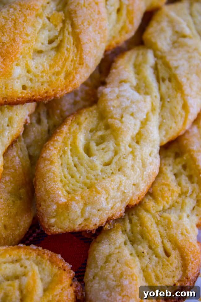 Swedish Layered Sour Cream Twists 3 a few Swedish sour cream twist cookies arranged artfully.