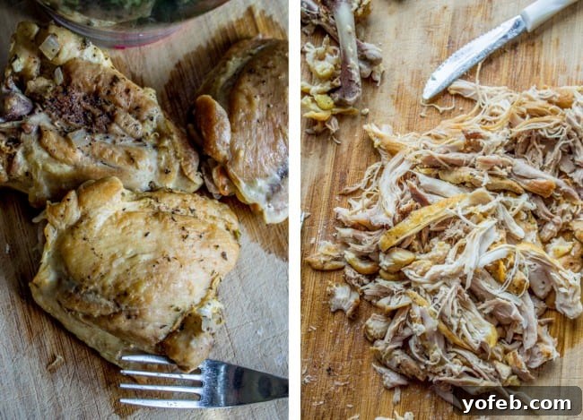 Shredding Chicken for Easy Soup Prep Preparing to shred cooked chicken thighs for a hearty soup.