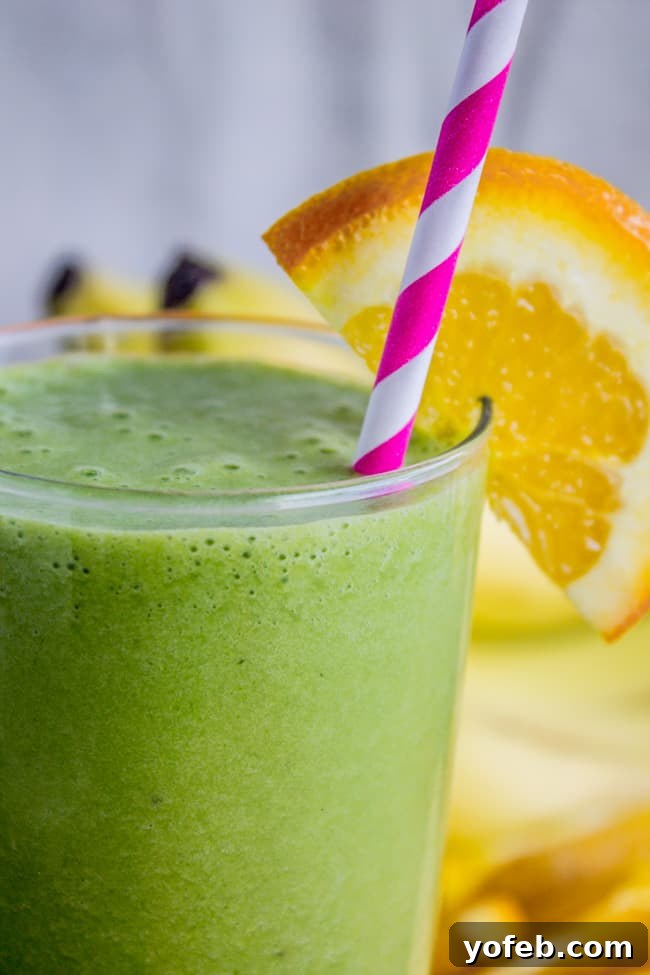 Zesty Green Cream Dream 8 Green Orange Julius Smoothie from The Food Charlatan