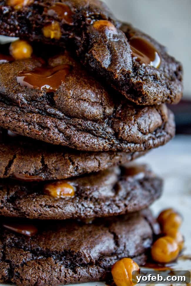 Irresistible Double Chocolate Caramel Cookies 4 Delicious Double Chocolate Cookies with Caramel Bits Freshly Baked