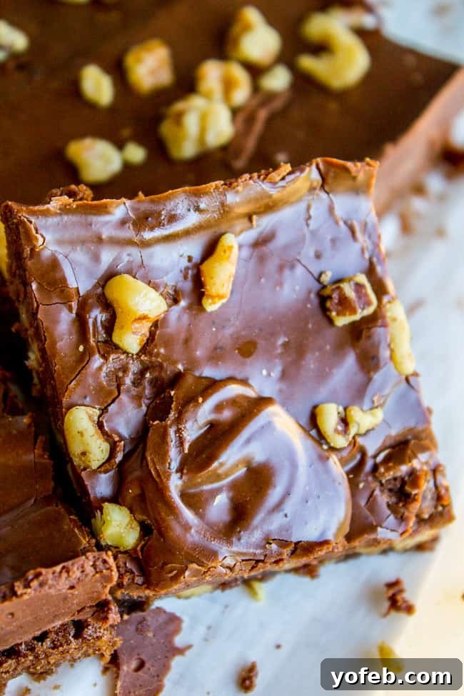 Nana's Legendary Fudgy Brownies 12 Fudge frosted brownies with a scattering of walnuts on top, showcasing the rich texture.