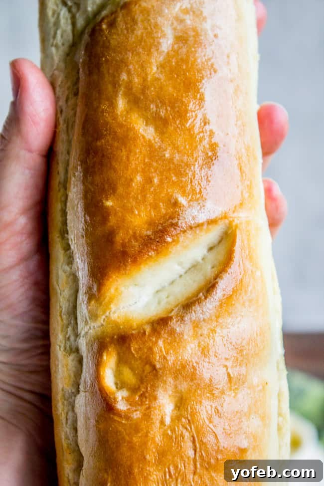 Artisan French Bread Made Easy 2 A hand gently holding a beautifully browned, freshly baked loaf of homemade French bread, showcasing its inviting crust.