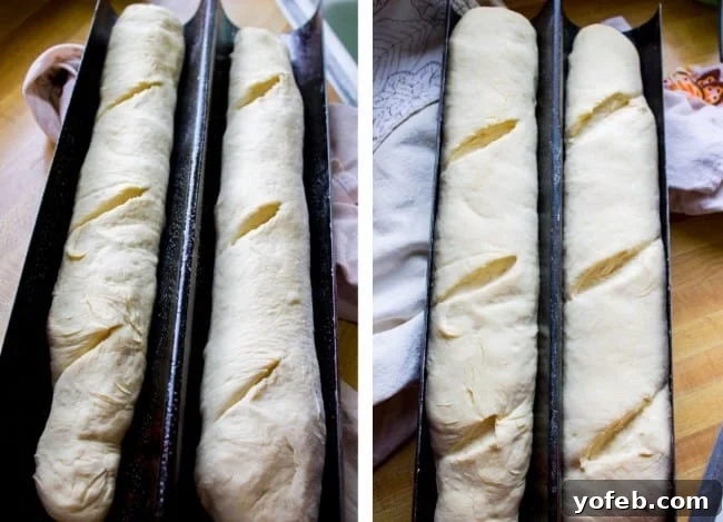 One Hour French Bread from The Food Charlatan. This delicious yeasty French bread recipe has only one 20-minute rise before going into a screaming hot oven for another 20 minutes. At the end you have golden crusty goodness just waiting to be slathered in butter or dipped in oil and balsamic! One hour, I promise!! #french #bread #homemade #easy #ideas #baguette #quick French bread loaves gently rising in a baguette pan, showcasing the crucial proofing stage before baking.