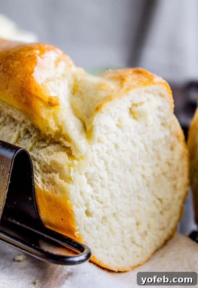 One Hour French Bread from The Food Charlatan. This delicious yeasty French bread recipe has only one 20-minute rise before going into a screaming hot oven for another 20 minutes. At the end you have golden crusty goodness just waiting to be slathered in butter or dipped in oil and balsamic! One hour, I promise!! #french #bread #homemade #easy #ideas #baguette #quick A perfectly baked, golden-brown loaf of homemade French bread resting in a metal baguette pan, highlighting its beautiful shape and crust.