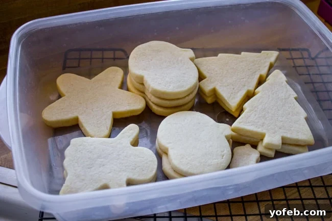 The Softest Sugar Cookies of Your Life from The Food Charlatan. A secret ingredient in this sugar cookies recipe makes these cookies the SOFTEST and most flavorful cookies of your life! And they even hold their shape after baking, so you get exactly what you want instead of sad blob cookies. #sugarcookies #cookies #frosting #soft #recipe #holiday #christmas #easter #halloween #fourthofjuly #stpatricksday #cookies #easy sugar cookies, unfrosted, stacked inside a storage container, ready to freeze.