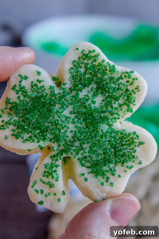 The Softest Sugar Cookies of Your Life from The Food Charlatan. A secret ingredient in this sugar cookies recipe makes these cookies the SOFTEST and most flavorful cookies of your life! And they even hold their shape after baking, so you get exactly what you want instead of sad blob cookies. #sugarcookies #cookies #frosting #soft #recipe #holiday #christmas #easter #halloween #fourthofjuly #stpatricksday #cookies #easy Sugar cookie showing unfrosted shamrock-shaped cookie with green sprinkles.