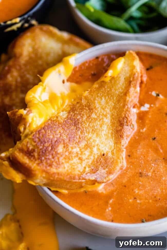 A beautiful bowl of creamy tomato soup with a golden grilled cheese sandwich triangle delicately placed on top.