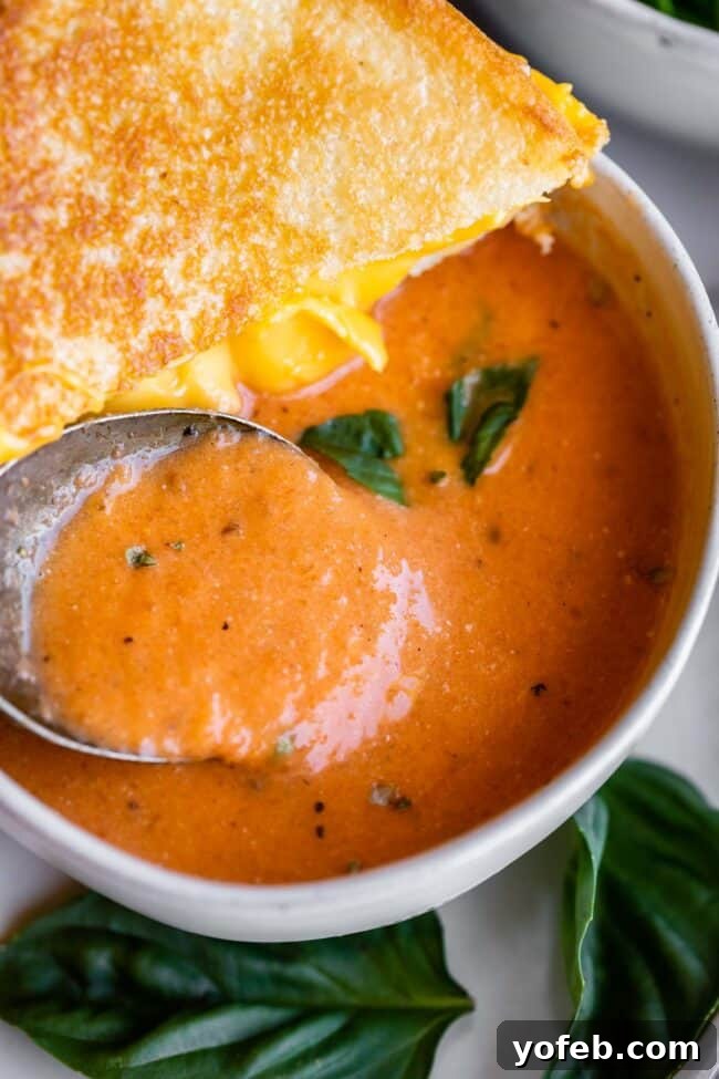 A rustic white bowl filled with quick tomato soup, perfectly balanced with half a crispy grilled cheese sandwich on top.