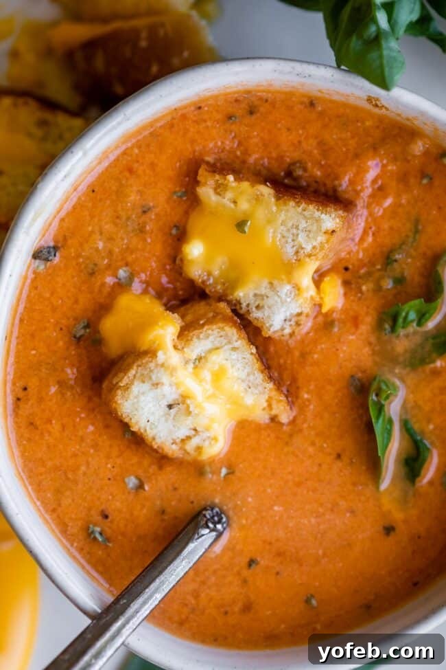 An enticing close-up of creamy tomato soup, featuring square-cut grilled cheese croutons floating on the surface.