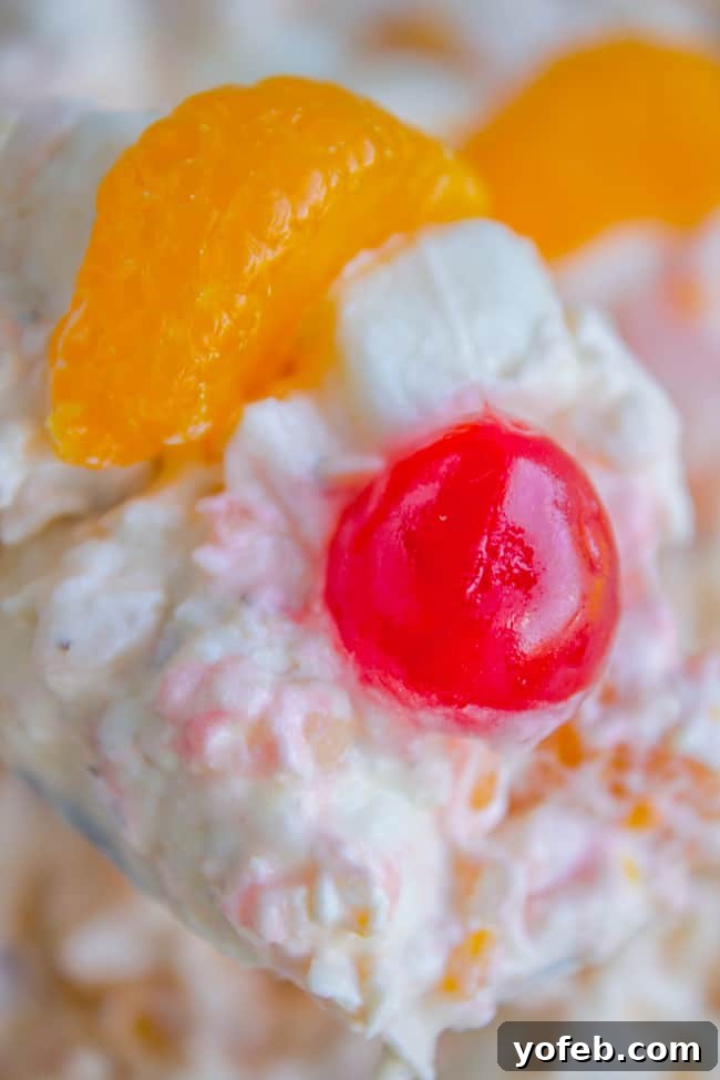 Heavenly Ambrosia Fruit Salad 4 A generous serving of Ambrosia Salad artfully presented in a clear glass bowl, featuring a colorful medley of fruits, marshmallows, and nuts.