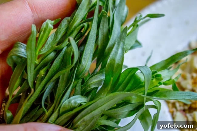 A fresh bunch of tarragon herbs, vibrant green and aromatic.