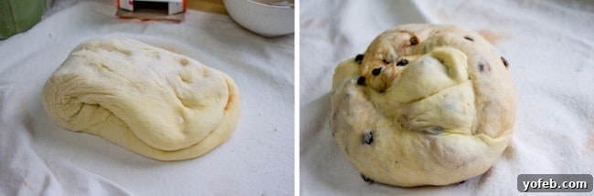 The Best Homemade Hot Cross Buns 7 A close-up of spiced dough with currants visible, ready for shaping into buns.
