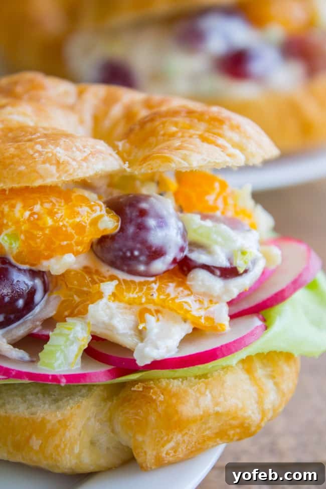 Sunshine Chicken & Mandarin Salad 2 Chicken salad with Mandarin oranges on a croissant.