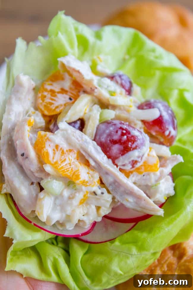 Sunshine Chicken & Mandarin Salad 5 chicken salad with grapes and oranges in lettuce wraps.