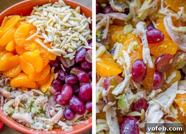Sunshine Chicken & Mandarin Salad 8 chicken salad in large bowl with almonds, oranges, and grapes.