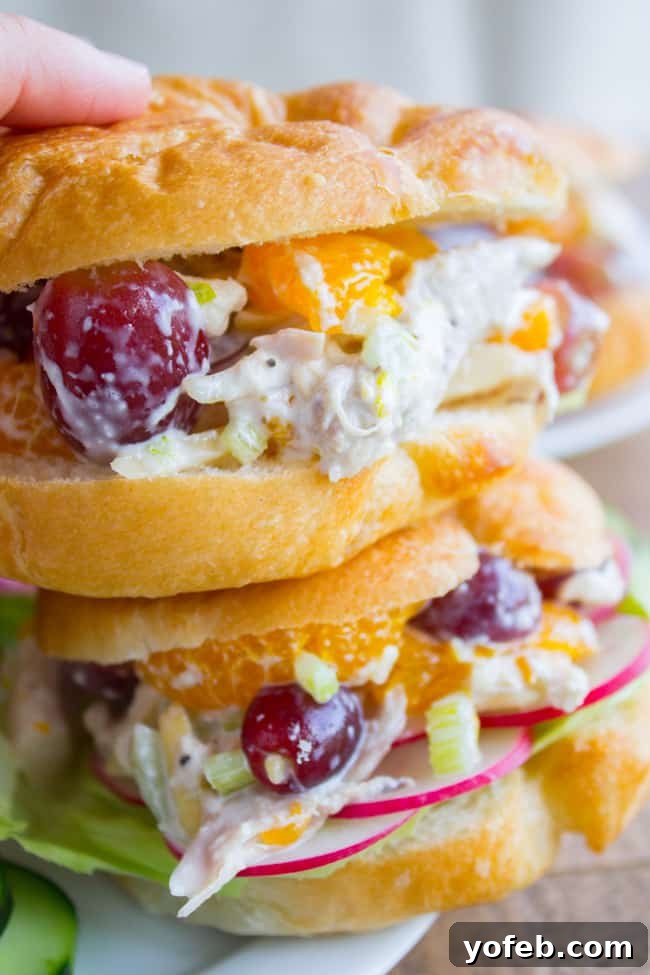 Sunshine Chicken & Mandarin Salad 9 Chicken salad with grapes and oranges on a croissant.