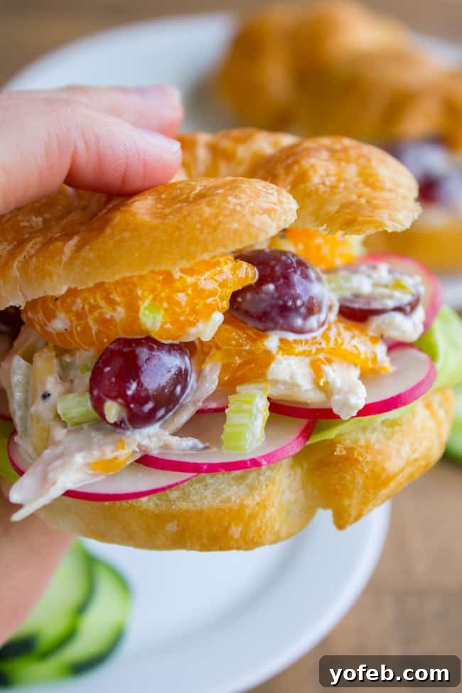 Sunshine Chicken & Mandarin Salad 10 a hand holding a chicken salad croissant sandwich.
