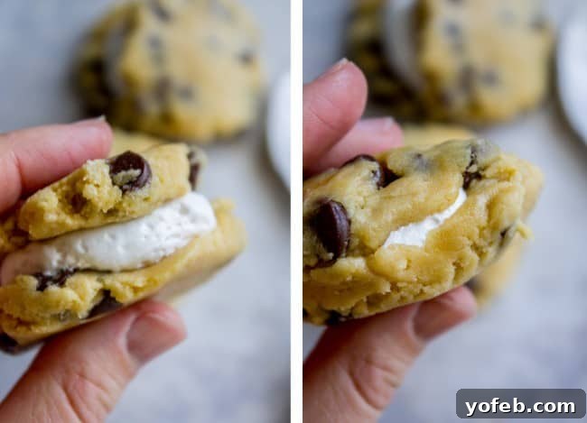 Gooey Marshmallow Creme Filled Chocolate Chip Cookies 10 The marshmallow creme being sealed within two cookie dough discs.