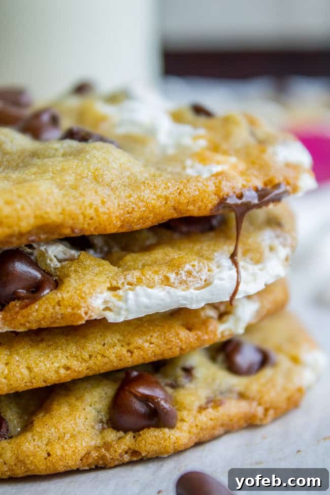 Gooey Marshmallow Creme Filled Chocolate Chip Cookies 7 Beautifully baked marshmallow creme stuffed chocolate chip cookies on a cooling rack.