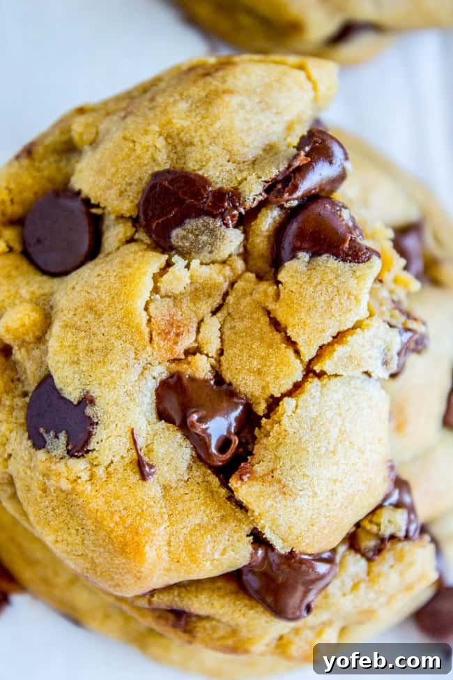 Gooey Marshmallow Creme Filled Chocolate Chip Cookies 14 Brown Butter Chocolate Chip Cookies from The Food Charlatan
