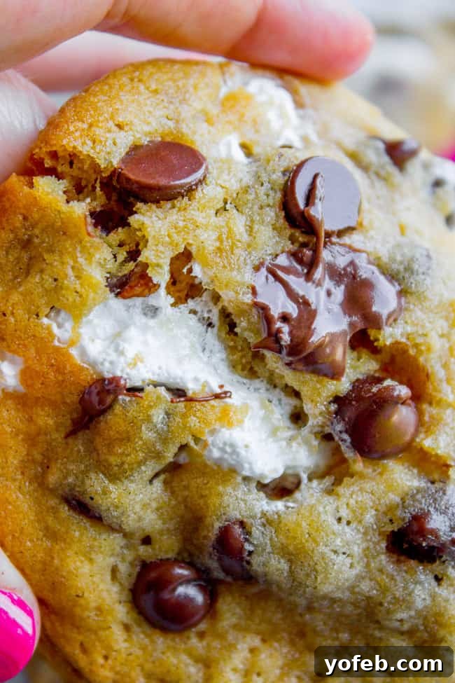 Gooey Marshmallow Creme Filled Chocolate Chip Cookies 3 A marshmallow creme stuffed chocolate chip cookie broken in half, revealing the soft, melted marshmallow center.
