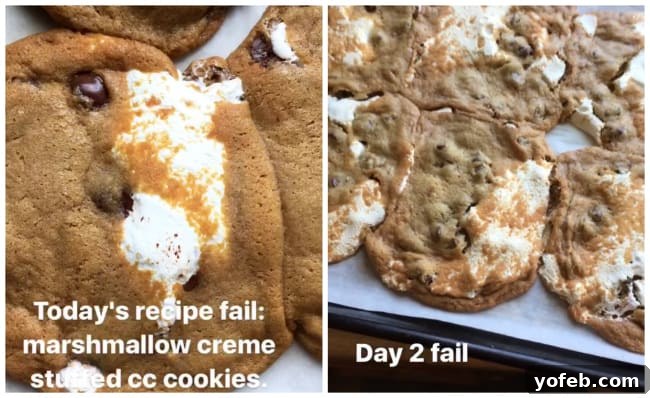 Gooey Marshmallow Creme Filled Chocolate Chip Cookies 4 Various failed attempts at marshmallow creme stuffed chocolate chip cookies, showing different textures and spreads.