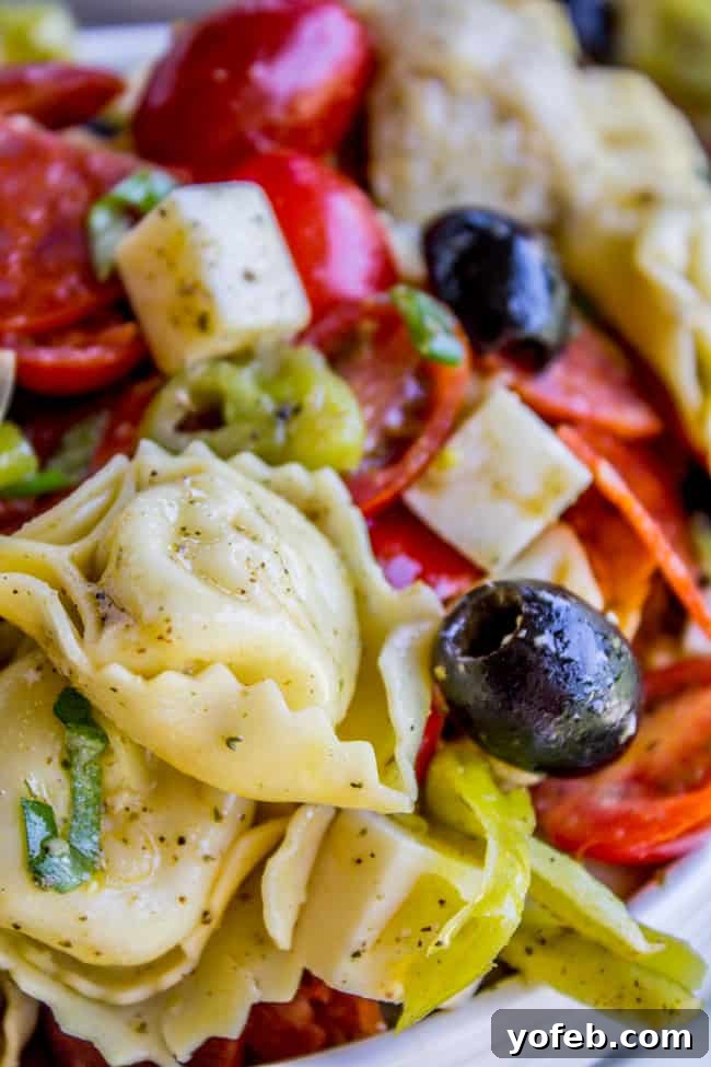 Sunshine Tortellini Salad 3 Close-up of vibrant Italian Tortellini and Pepperoni Pasta Salad in a bowl.