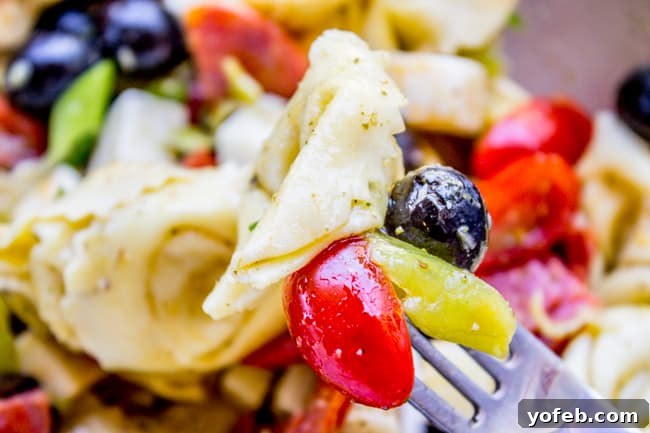 Sunshine Tortellini Salad 5 Italian Tortellini and Pepperoni Pasta Salad ingredients mixed in a large bowl before dressing.