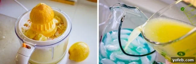 Magical Blue Cotton Candy Lemonade 9 Lemon