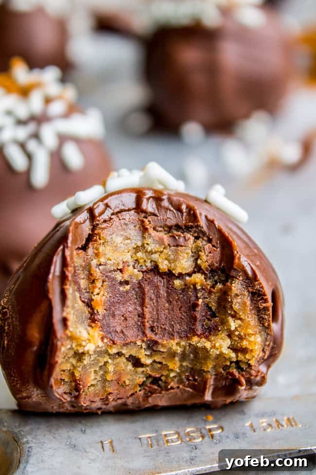 Irresistible Chocolate Filled Snickerdoodle Delights 2 Decadent Chocolate Stuffed Snickerdoodle Truffles on a serving platter