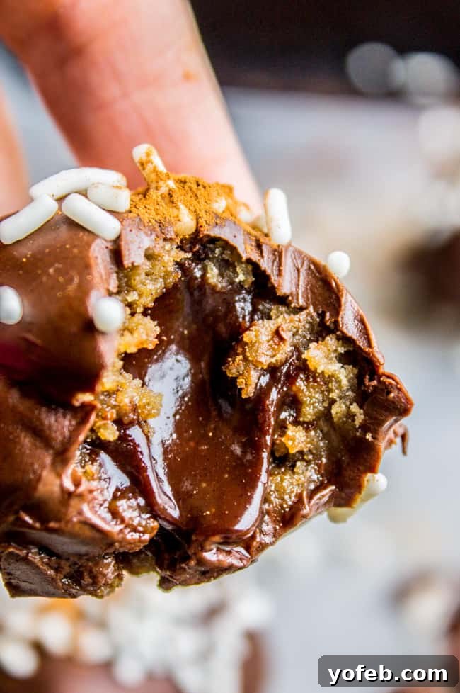 Irresistible Chocolate Filled Snickerdoodle Delights 11 Warm, melty Chocolate Stuffed Snickerdoodle Truffle cut in half