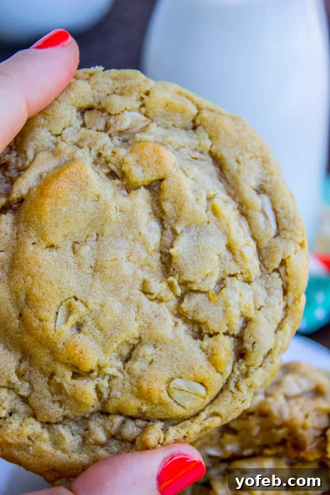Chewy Peanut Butter Oatmeal Cookies from The Food Charlatan. These Peanut Butter Oatmeal Cookies will blow your mind! Tons of peanut butter flavor (actual peanuts optional) paired with some chewy oats for an amazing texture. They are so tender and totally melt in your mouth! #peanutbutter #oatmeal #cookies #chewy #easy #healthy #oats #peanut #crisco hand holding a chewy peanut butter oatmeal cookie.