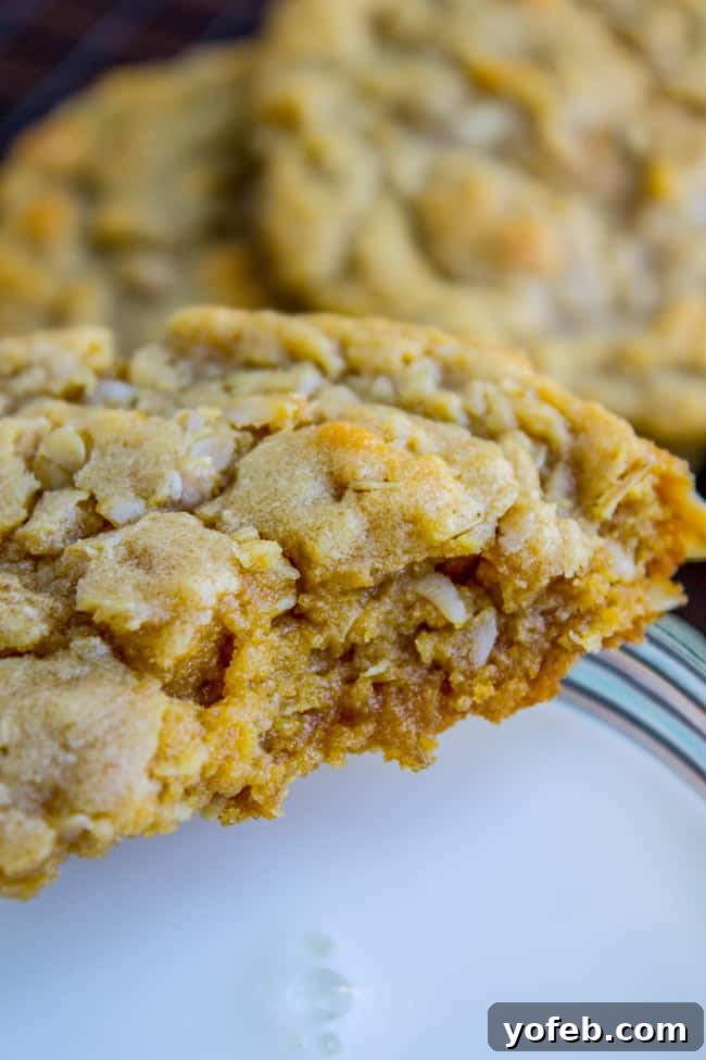 Chewy Peanut Butter Oatmeal Cookies from The Food Charlatan. These Peanut Butter Oatmeal Cookies will blow your mind! Tons of peanut butter flavor (actual peanuts optional) paired with some chewy oats for an amazing texture. They are so tender and totally melt in your mouth! #peanutbutter #oatmeal #cookies #chewy #easy #healthy #oats #peanut #crisco a chewy peanut butter oatmeal cookie about to be dunked in a glass of milk.