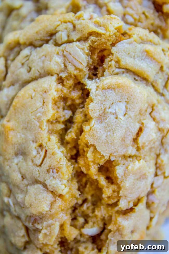 Chewy Peanut Butter Oatmeal Cookies from The Food Charlatan. These Peanut Butter Oatmeal Cookies will blow your mind! Tons of peanut butter flavor (actual peanuts optional) paired with some chewy oats for an amazing texture. They are so tender and totally melt in your mouth! #peanutbutter #oatmeal #cookies #chewy #easy #healthy #oats #peanut #crisco super soft and chewy peanut butter oatmeal cookie.