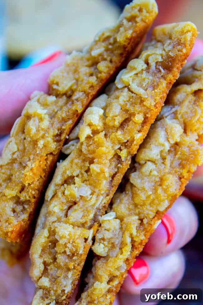 Chewy Peanut Butter Oatmeal Cookies from The Food Charlatan. These Peanut Butter Oatmeal Cookies will blow your mind! Tons of peanut butter flavor (actual peanuts optional) paired with some chewy oats for an amazing texture. They are so tender and totally melt in your mouth! #peanutbutter #oatmeal #cookies #chewy #easy #healthy #oats #peanut #crisco a hand holding a stack of peanut butter oatmeal cookies broken in half.