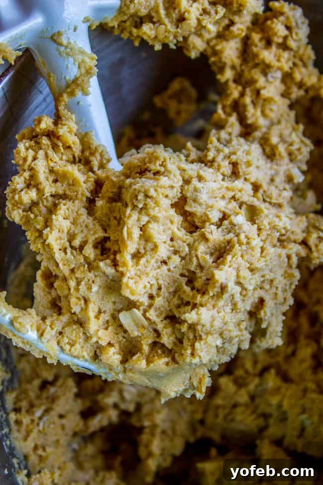 Chewy Peanut Butter Oatmeal Cookies from The Food Charlatan. These Peanut Butter Oatmeal Cookies will blow your mind! Tons of peanut butter flavor (actual peanuts optional) paired with some chewy oats for an amazing texture. They are so tender and totally melt in your mouth! #peanutbutter #oatmeal #cookies #chewy #easy #healthy #oats #peanut #crisco peanut butter oatmeal cookie dough in a stand mixer with a paddle attachment.