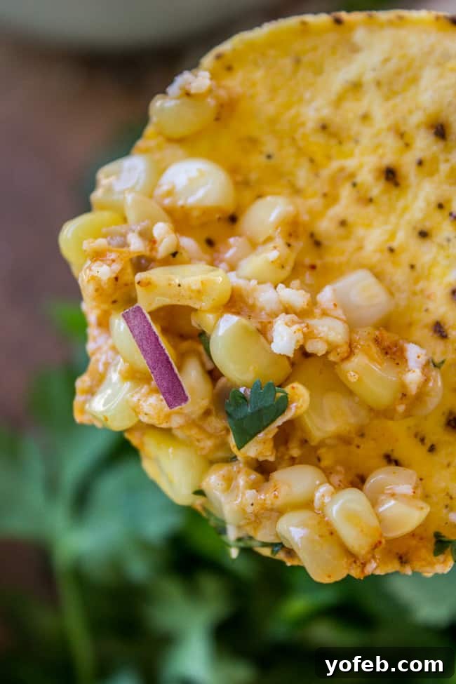 Mexican Street Corn Dip (Elote) from The Food Charlatan. This corn dip recipe is just like an elote (Mexican street corn). It is the perfect combo of sweet corn and savory tart cheese. Plus it's a lot easier to eat AND you get tortilla chips. Win! #corn #dip #elote #mexican #streetfood #summerfood #4thofjuly #cincodemayo #cotija #cornonthecob A close-up shot of a single tortilla chip laden with creamy Elote dip, highlighting the textures and vibrant colors.