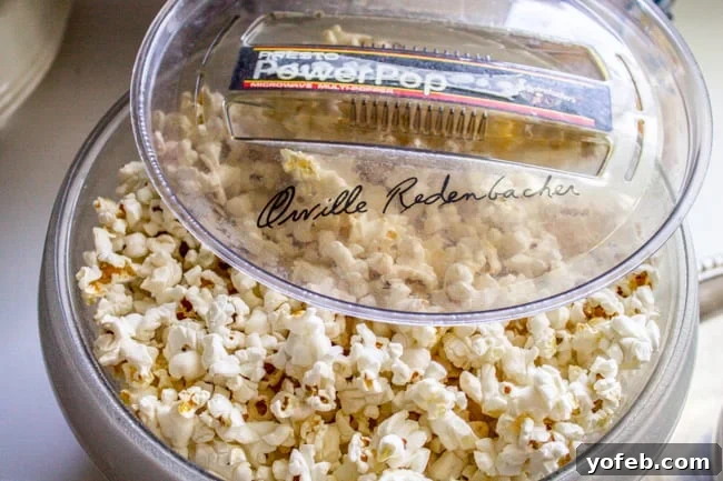 Zucchini Velvet with a Pop of Corn 8 Freshly popped popcorn in an electric popcorn maker.