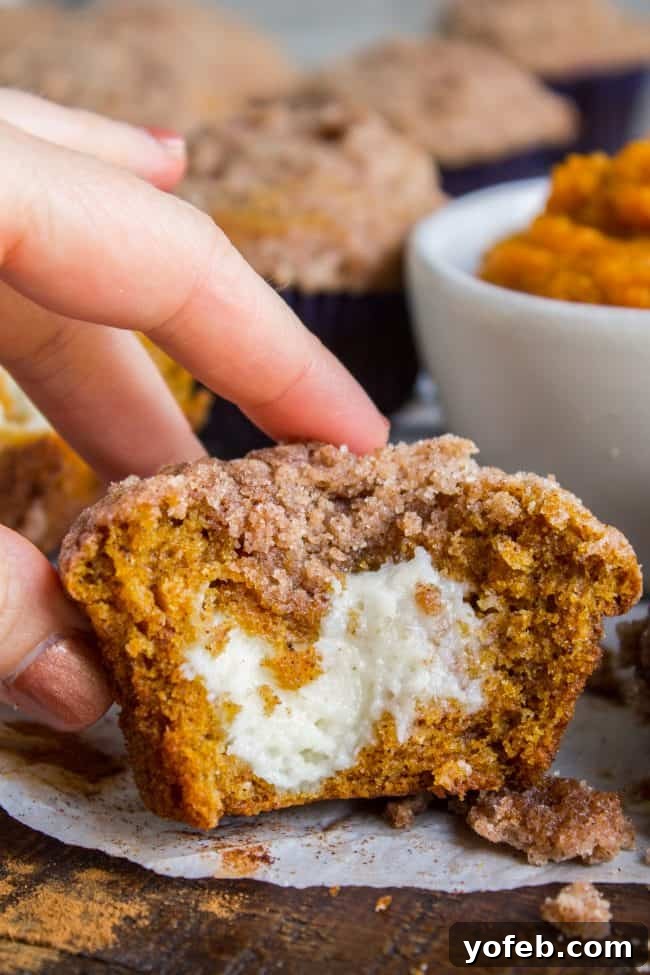 Best Pumpkin Cream Cheese Muffins with Cinnamon Streusel Topping for Fall and Thanksgiving. Moist, tender, and irresistible! #muffin #pumpkin #fall #fallbaking #creamcheese #filling #filled #crumbtopping #topping #best #moist #cinnamon #pumpkinpie #pumpkinpiespice #thanksgiving #autumn #starbucks #copycat #tall #baking A pumpkin cream cheese muffin being picked up, cut in half to reveal its luscious filling and crumbly topping.